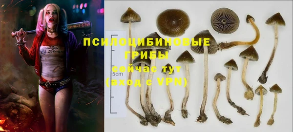 сатива Балабаново