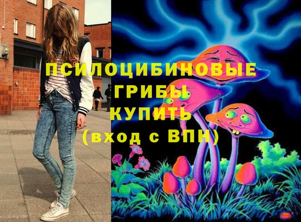 сатива Баксан